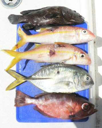 60- Peche du jour 